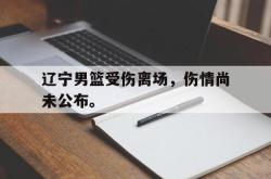 问鼎娱乐下载官网-辽宁男篮受伤离场，伤情尚未公布。