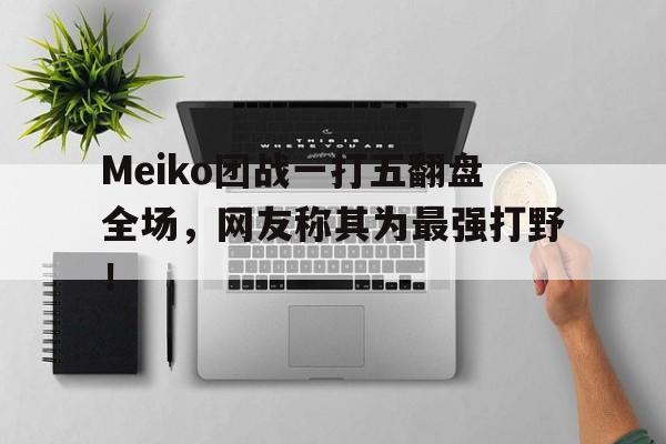 Meiko团战一打五翻盘全场，网友称其为最强打野！